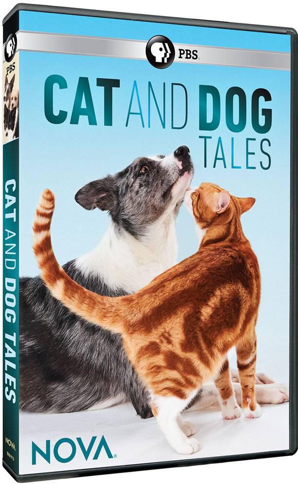 èĹ.cat.tales.2020.ӢĻ.720P.flv