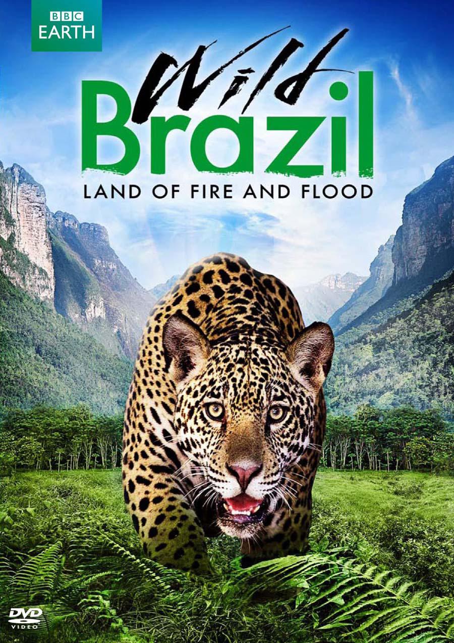 BBC.Ұ.Wild.Brazil.2014.1080p.WEBRip.x264.AAC.CHS-ENG.Ӣ-У.mp4