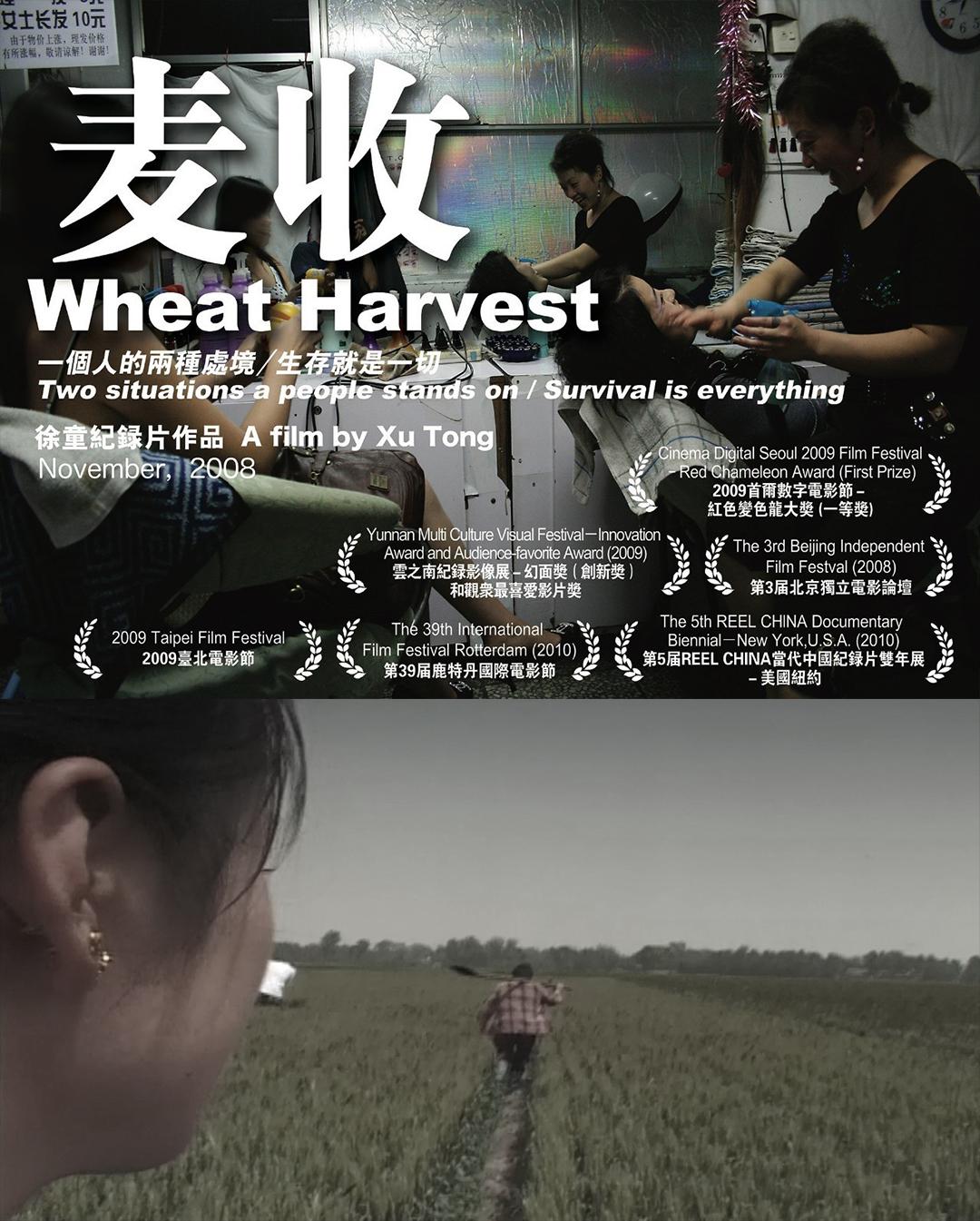 .Wheat Harvest.2008.mp4