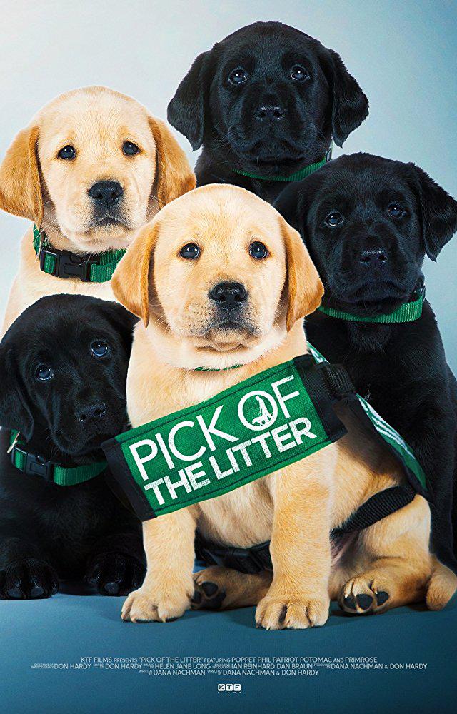 ֮.Pick.Of.The.Litter.2018.1080p.NF.WEBRip.DDP5.1.x264-TEPES.4.52G.mkv