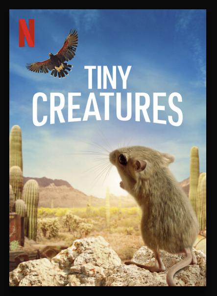 ΢.Tiny.Creatures.ȫ8.1080p.H265-ٷ.mp4