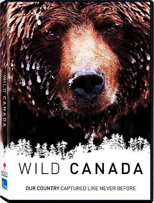 CBC.ҰԼô.Wild.Canada.2014.1080p.BluRay.x264.AAC.CHS-ENG-ӢĻ.mkv