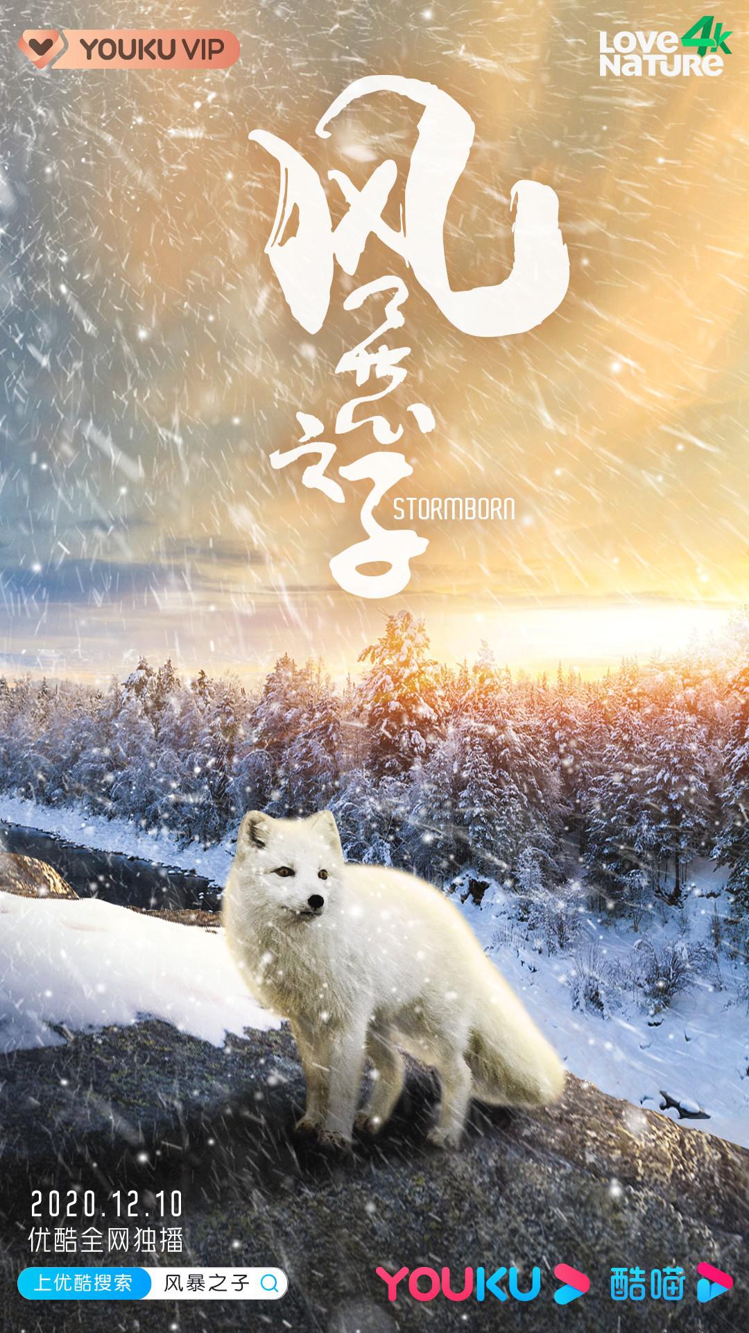 籩֮.Stormborn.2020.ȫ.Ļ.mp4