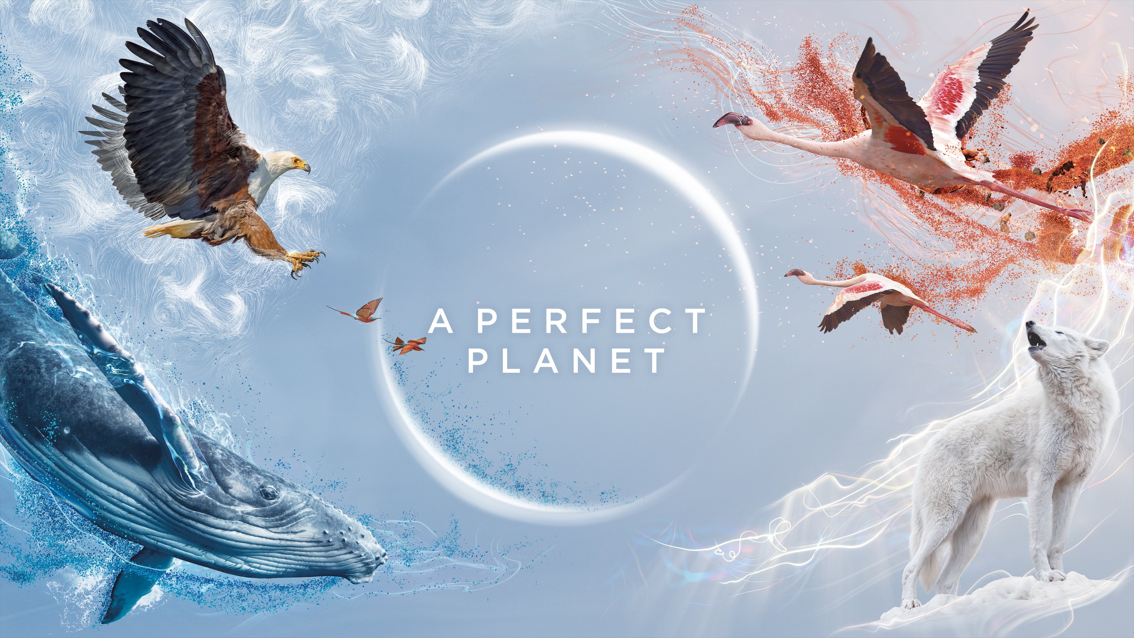 .Ӣ˫Ӣ˫.A.Perfect.Planet.2021.1080P.4K.WEB-DL.H264.AAC.mp4