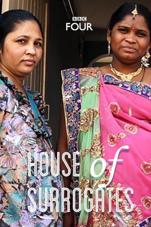 .House.of.Surrogates.2013.BBC..mp4