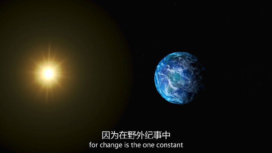 Ұ.A.Wild.Year.on.Earth2020
