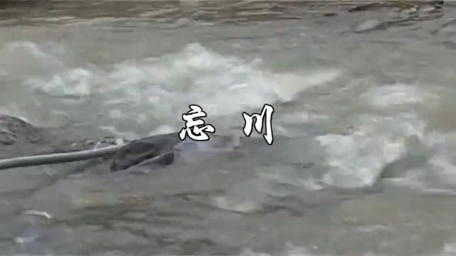  The River of Forgetting2010