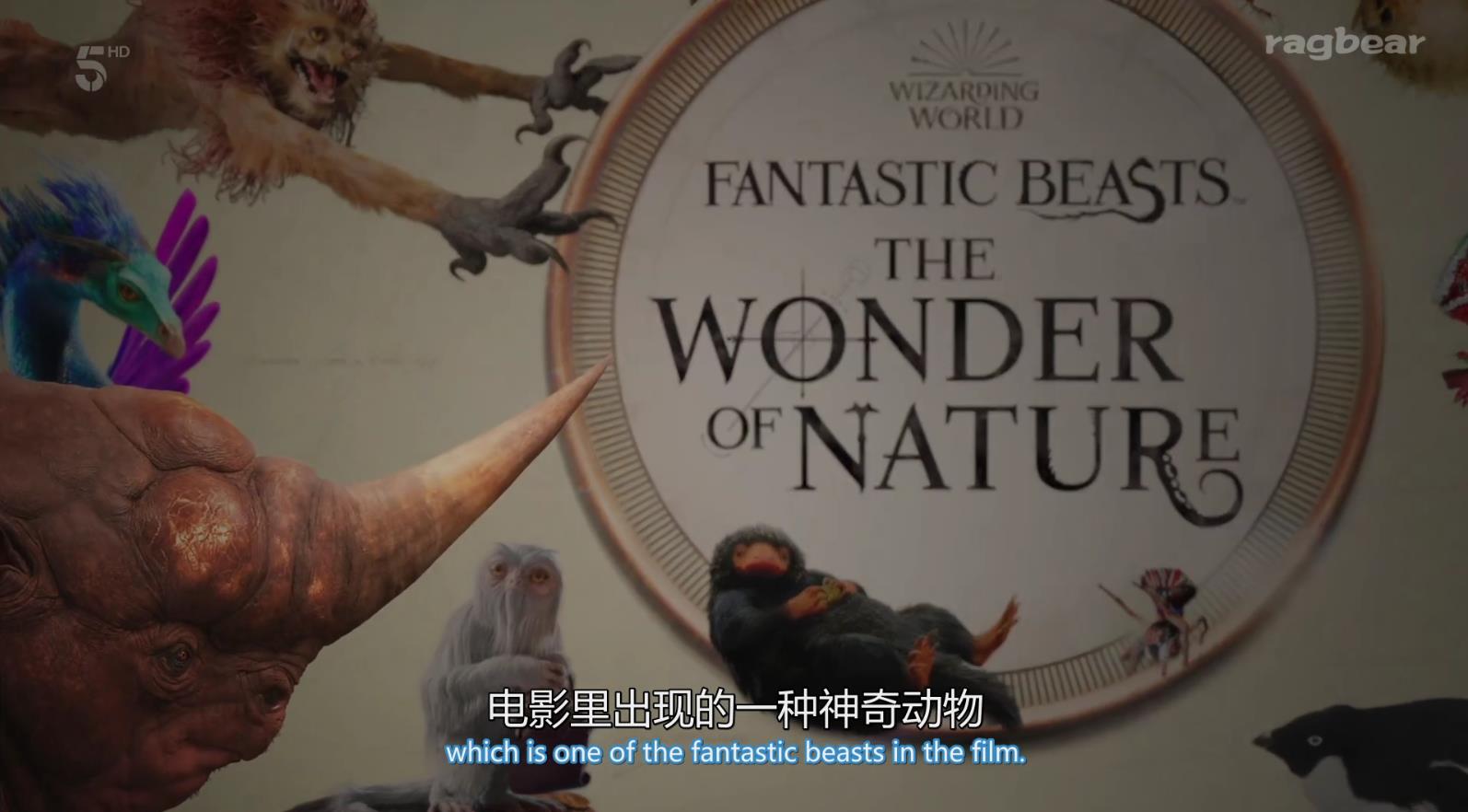 ӢȻʷݣ.Natural.History.MuseumWorld of Wonder2021