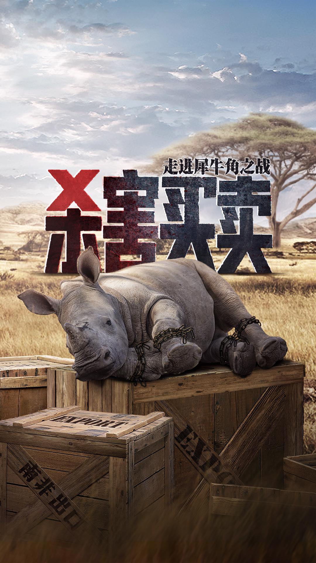 ɱ߽Ϭţ֮ս Stroop: Journey into the Rhino Horn War2018