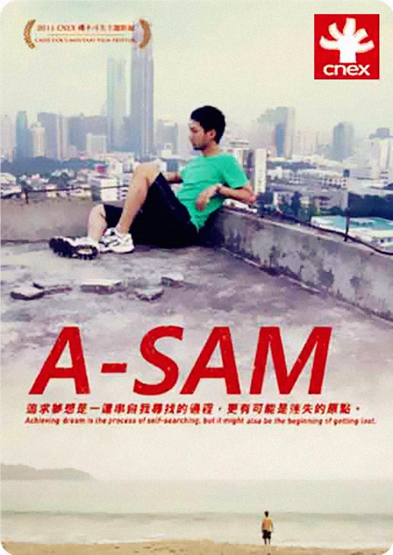 SAM2011
