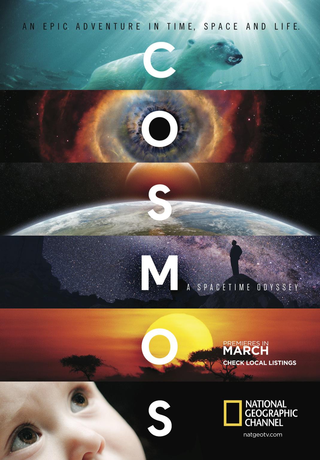 ʱ֮ Cosmos: A SpaceTime Odyssey2014