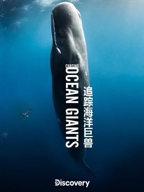 ׷ٺ Chasing Ocean Giants2021