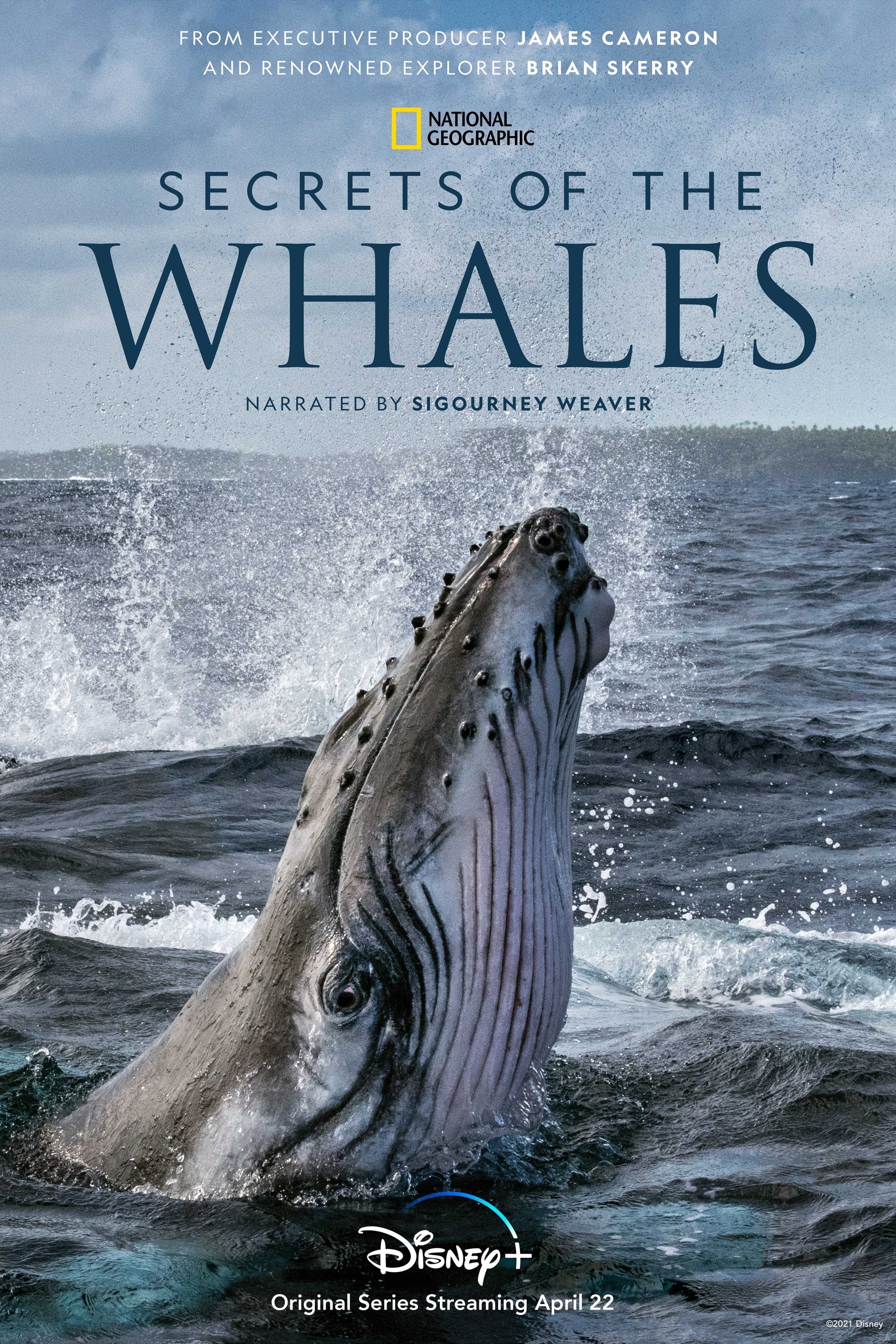 .ȫ4.4K.ӢĻ.Secrets.of.the.Whales2021