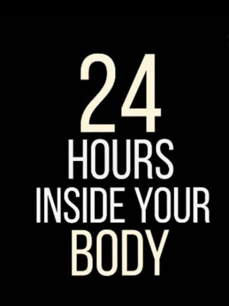 24Сʱ 24 Hours Inside Your Body2018