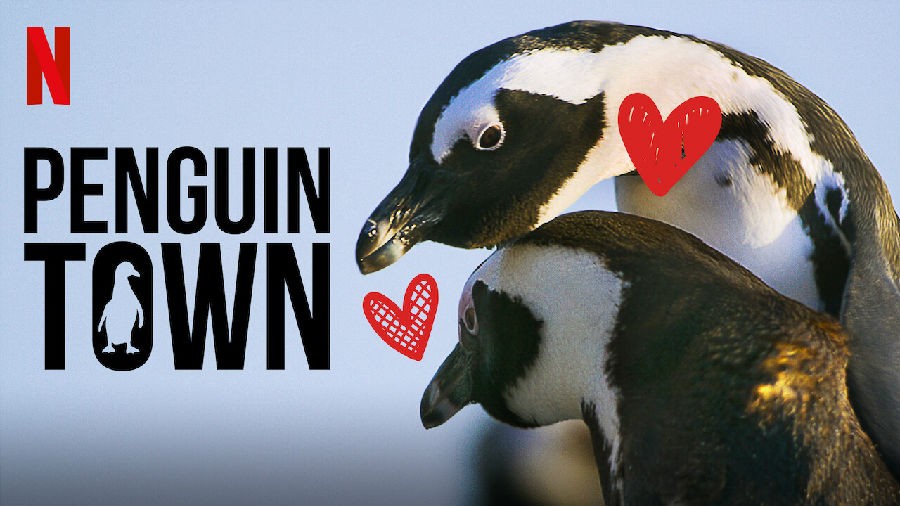 С Penguin Town2021