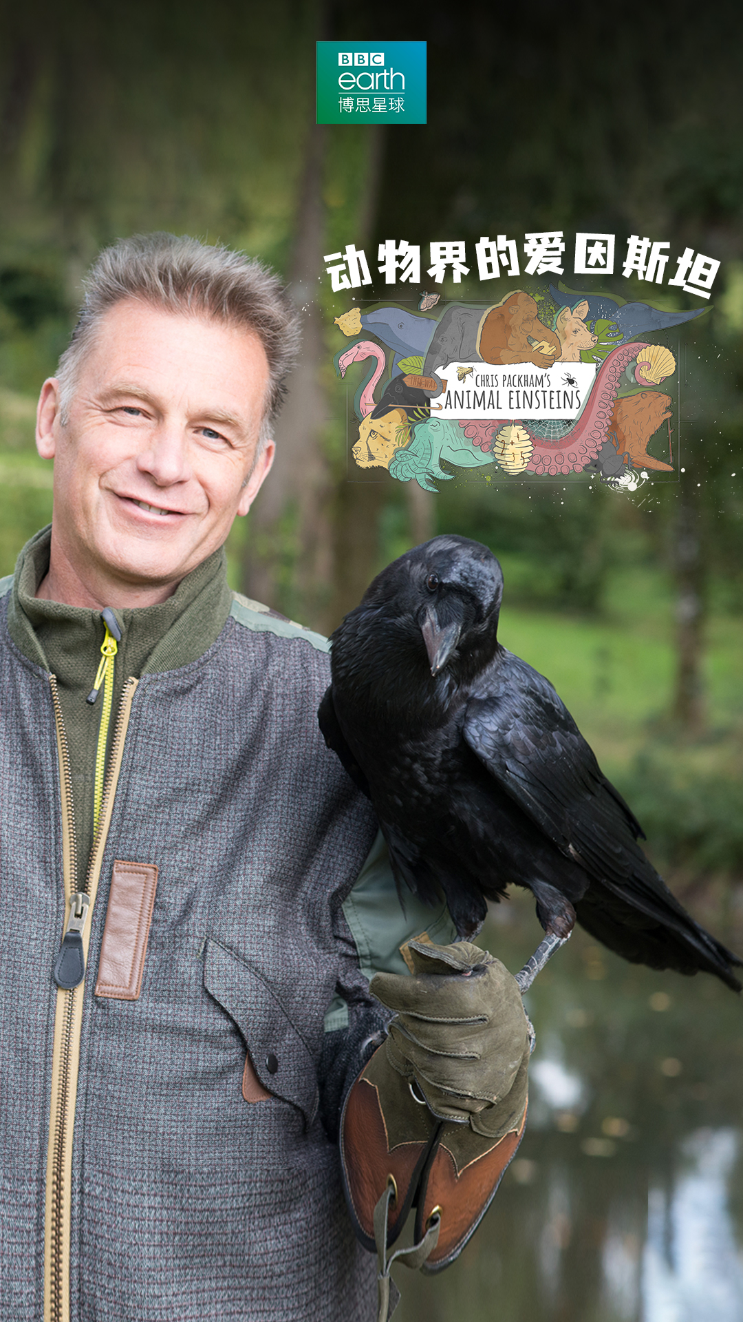 İ˹̹ һ Chris Packham's Animal Einsteins Season 12021