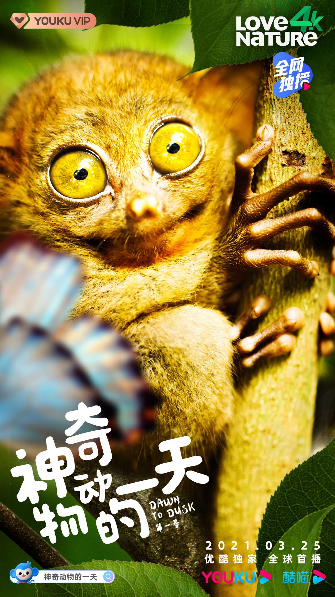 涯һ һ Dawn to dusk Season 12020