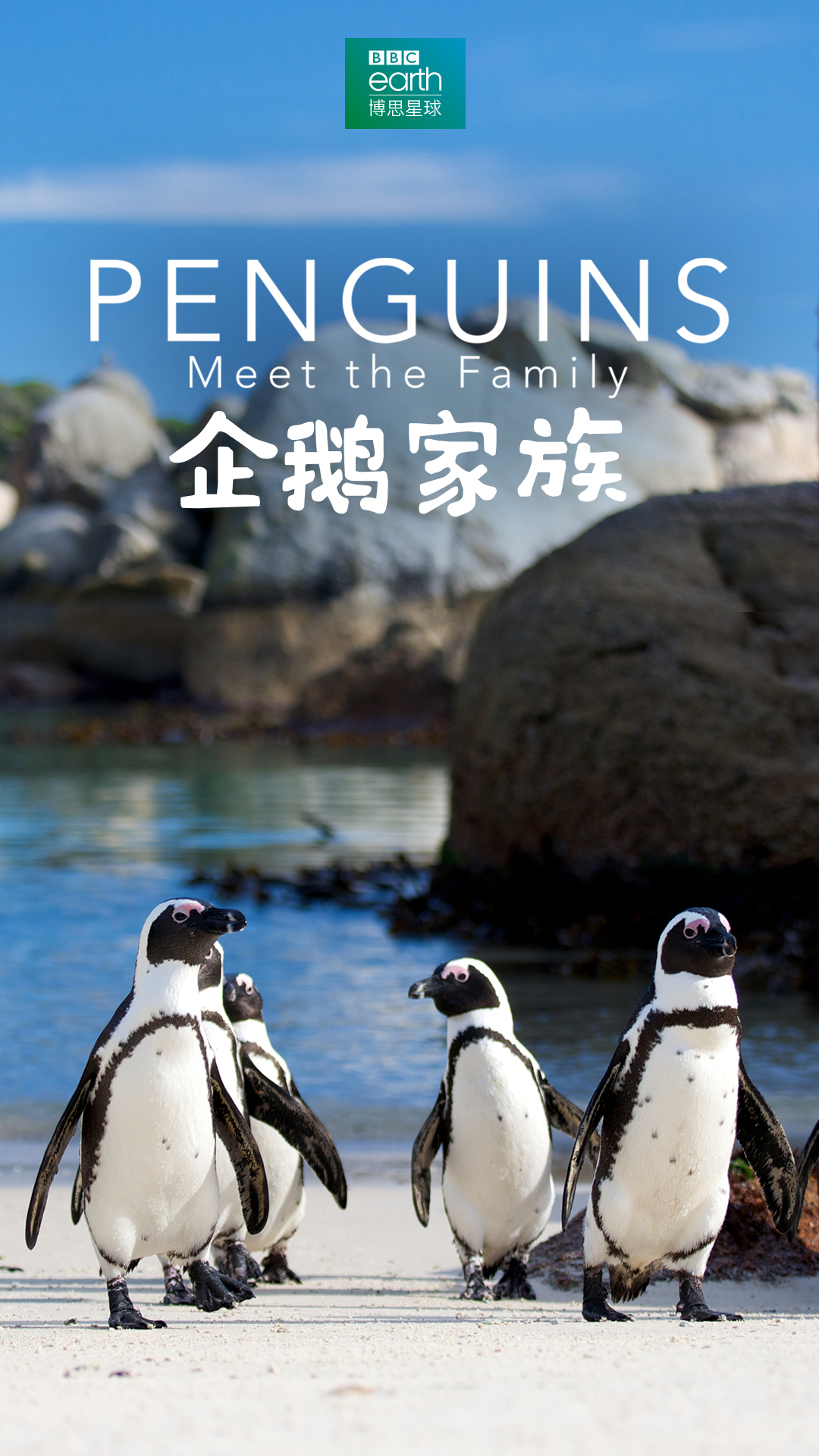  Penguins: Meet the Family2020