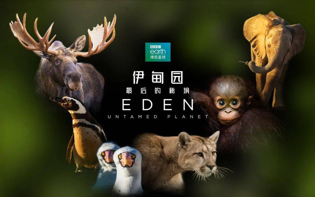 ԰ؾ Eden: Untamed Planet2021