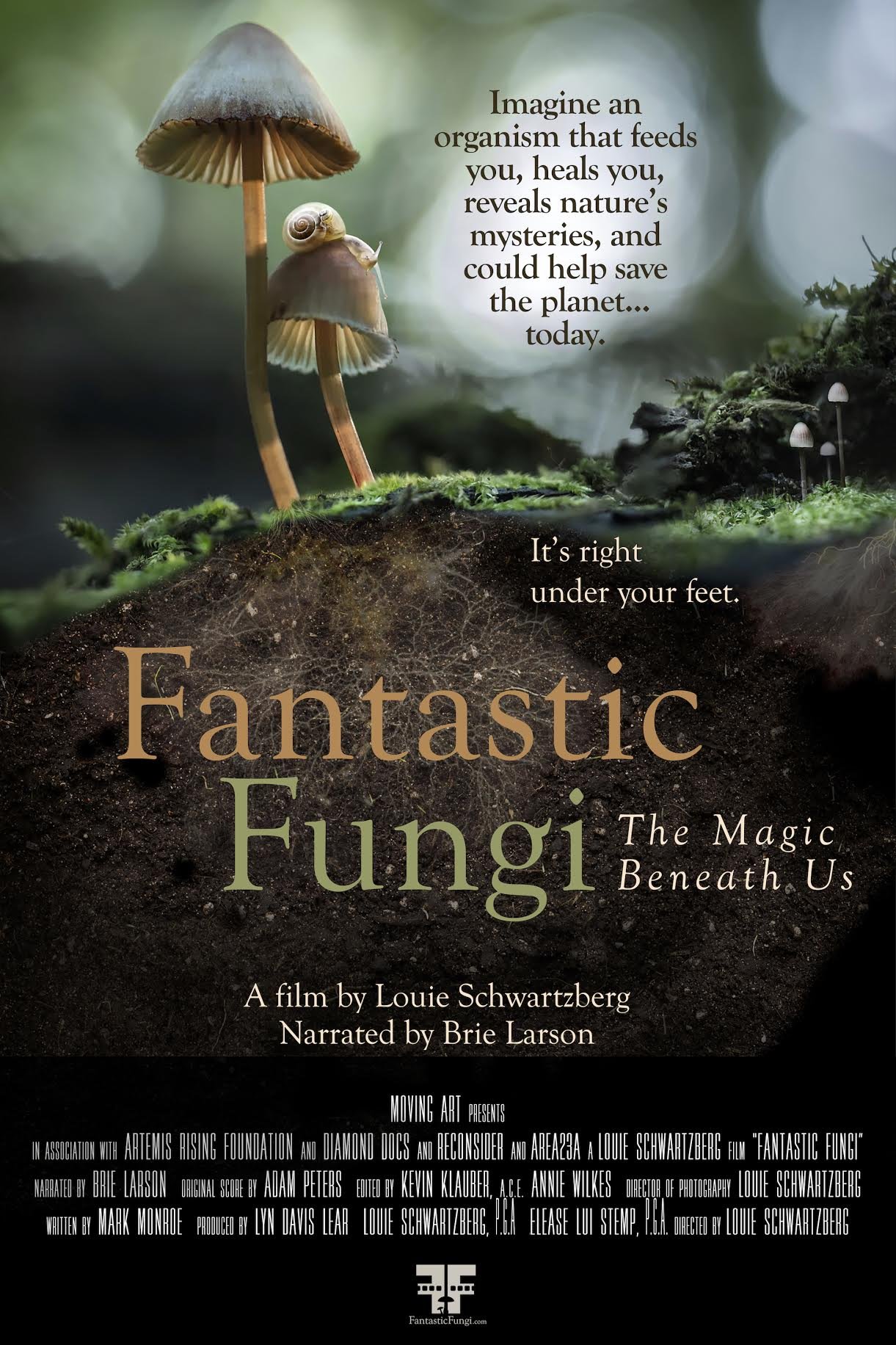  Fantastic Fungi2019