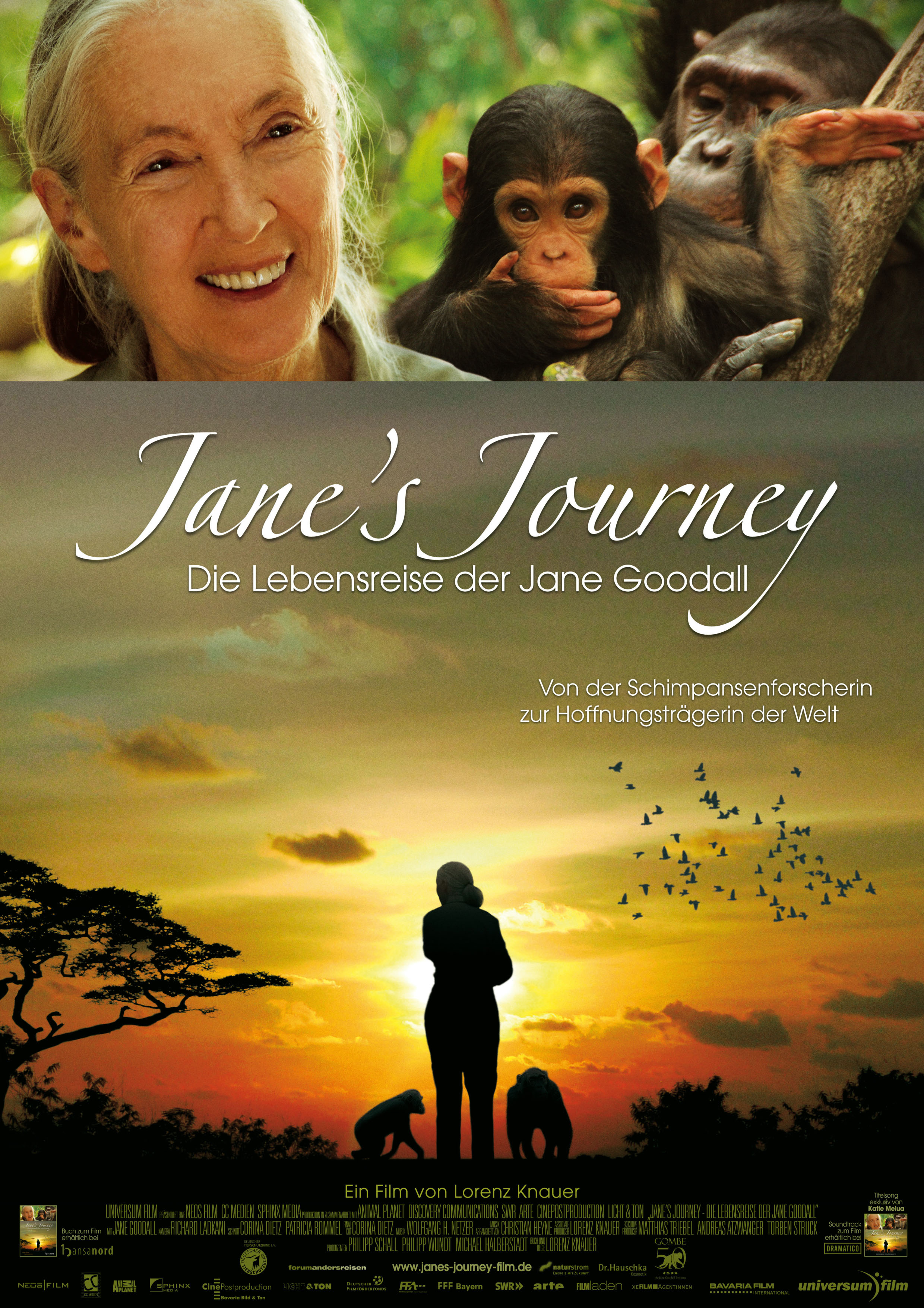 氮ó Jane's Journey2010