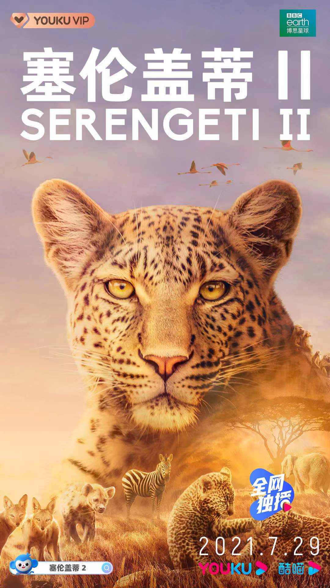 ׸ǵ ڶ Serengeti Season 22021
