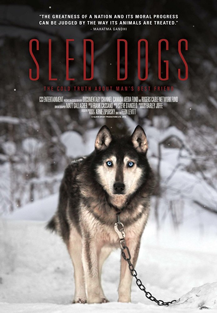 ѩȮ Sled Dogs2016