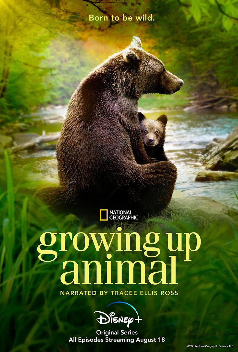 ɳ Growing Up Animal2021