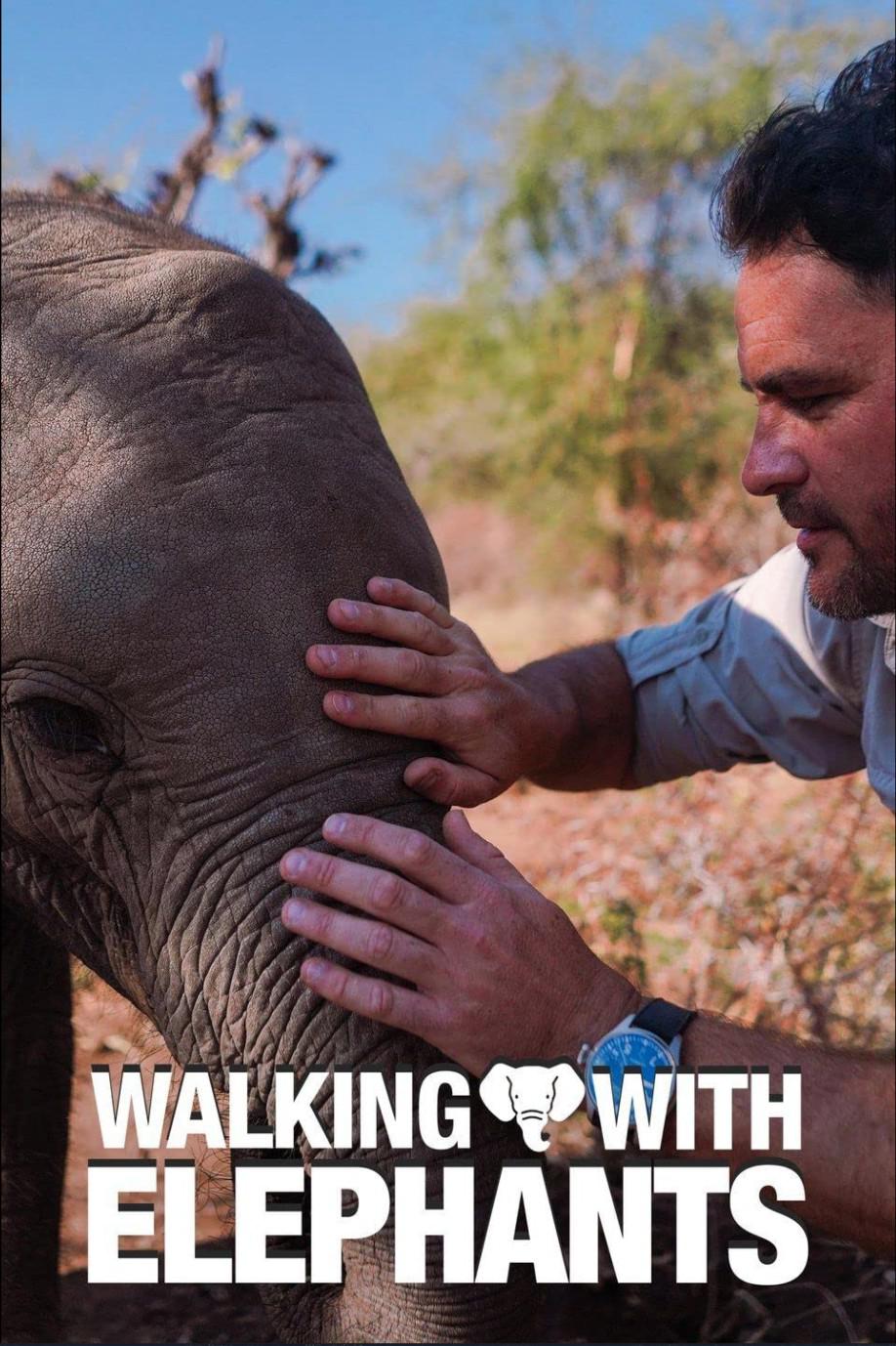 ͬ Walking with Elephants2020