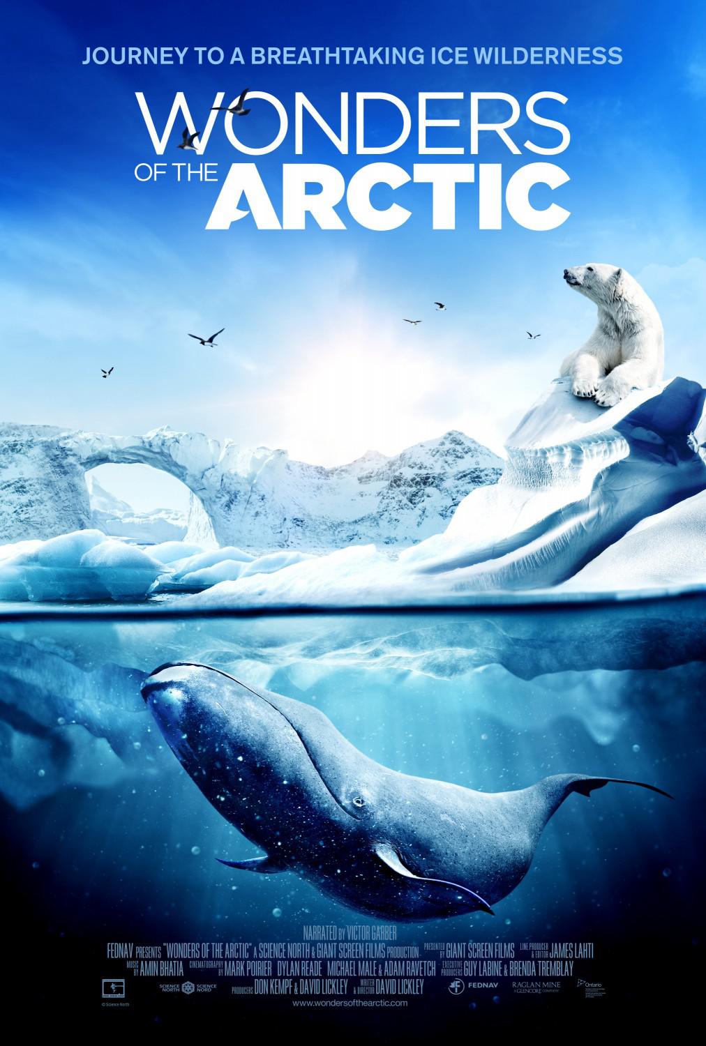 .ӢĻ.4K.Wonders of the Arctic2014
