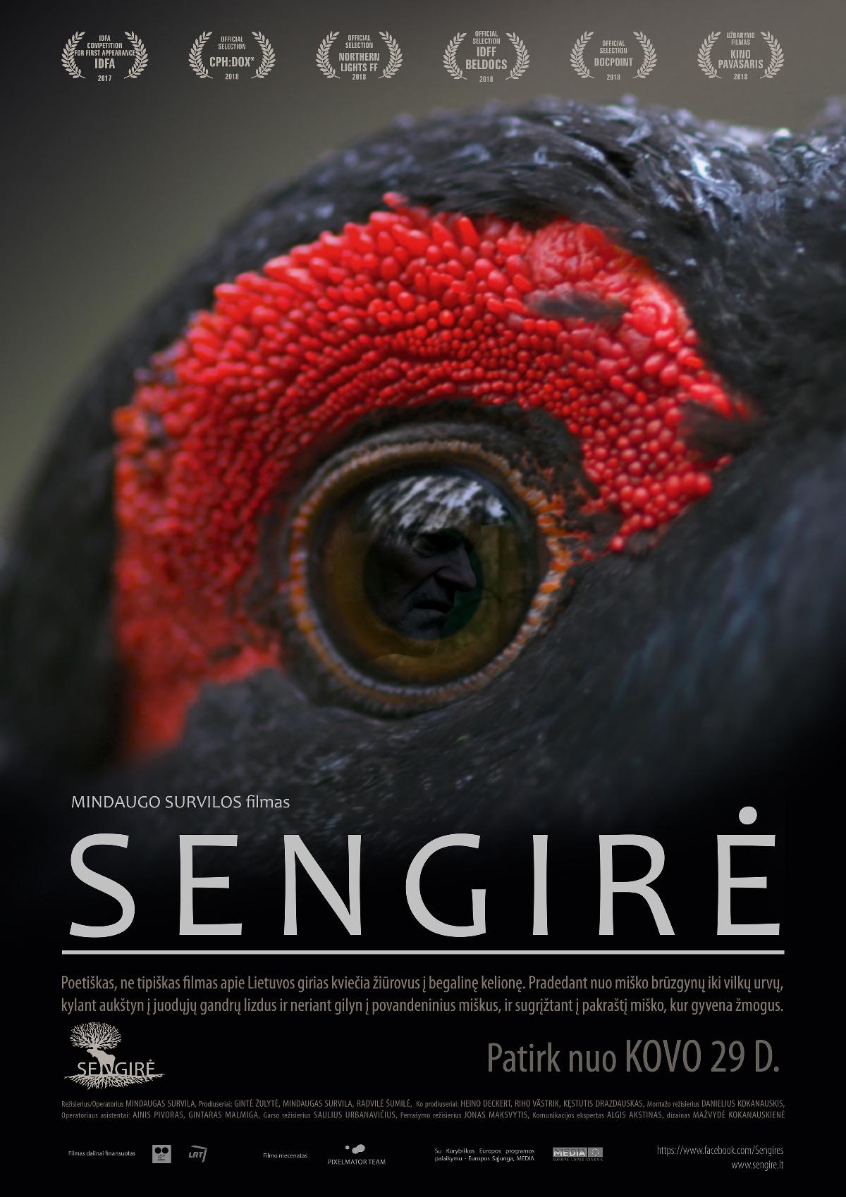 ϵɭ Sengirė2017