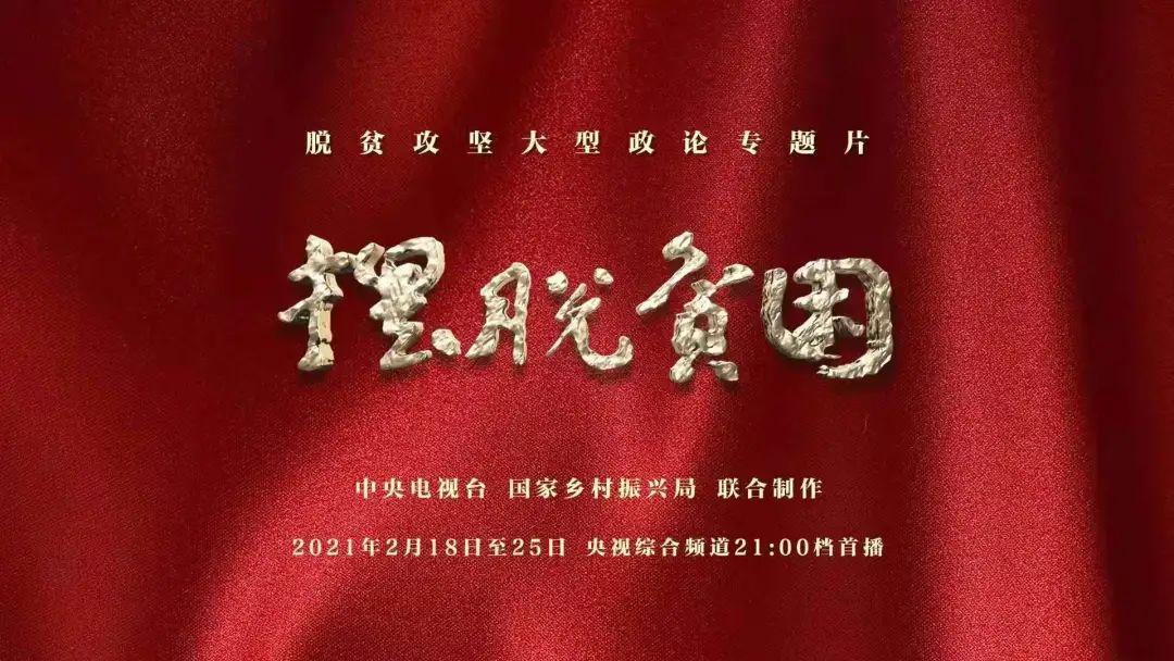 ƶ (2021)