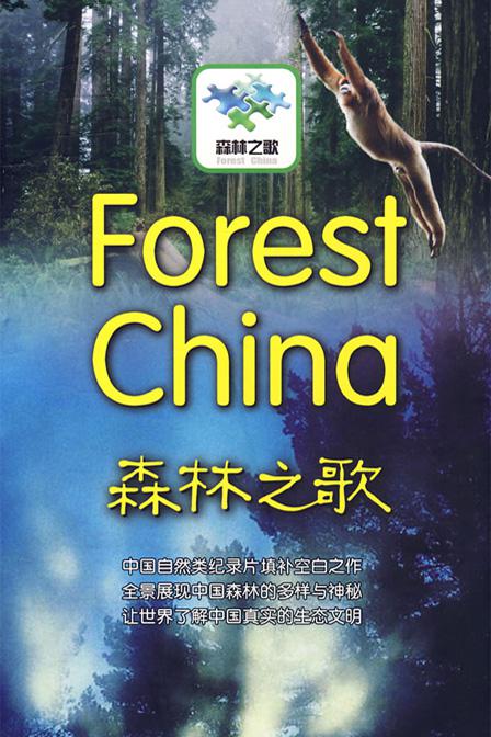ɭ֮ Forest China (2007)