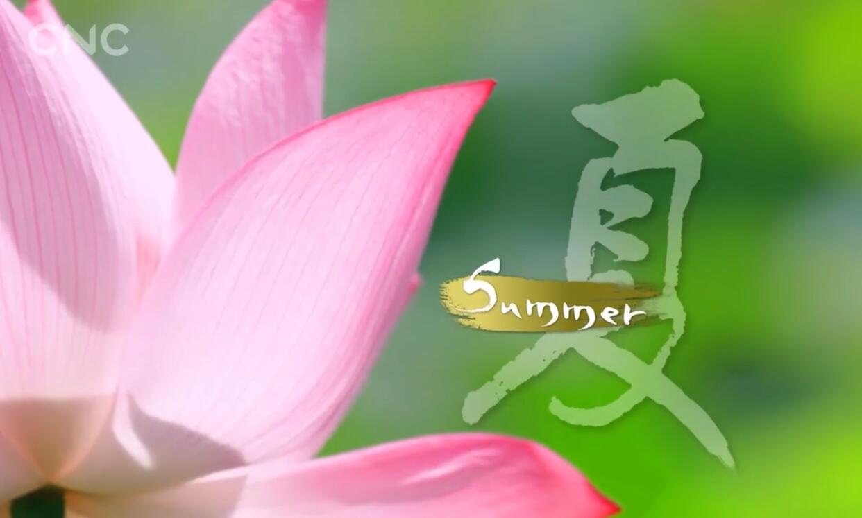 ļй Seasons of China (2019)