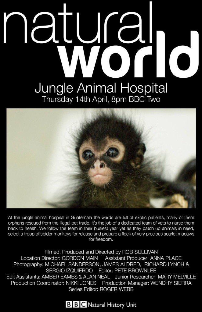 BBCȻ ֶҽԺ Jungle Animal Hospital (2016)