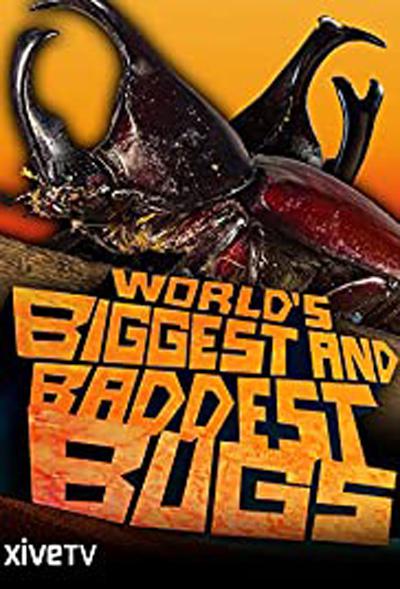  World's Biggest and Baddest Bugs (2009)