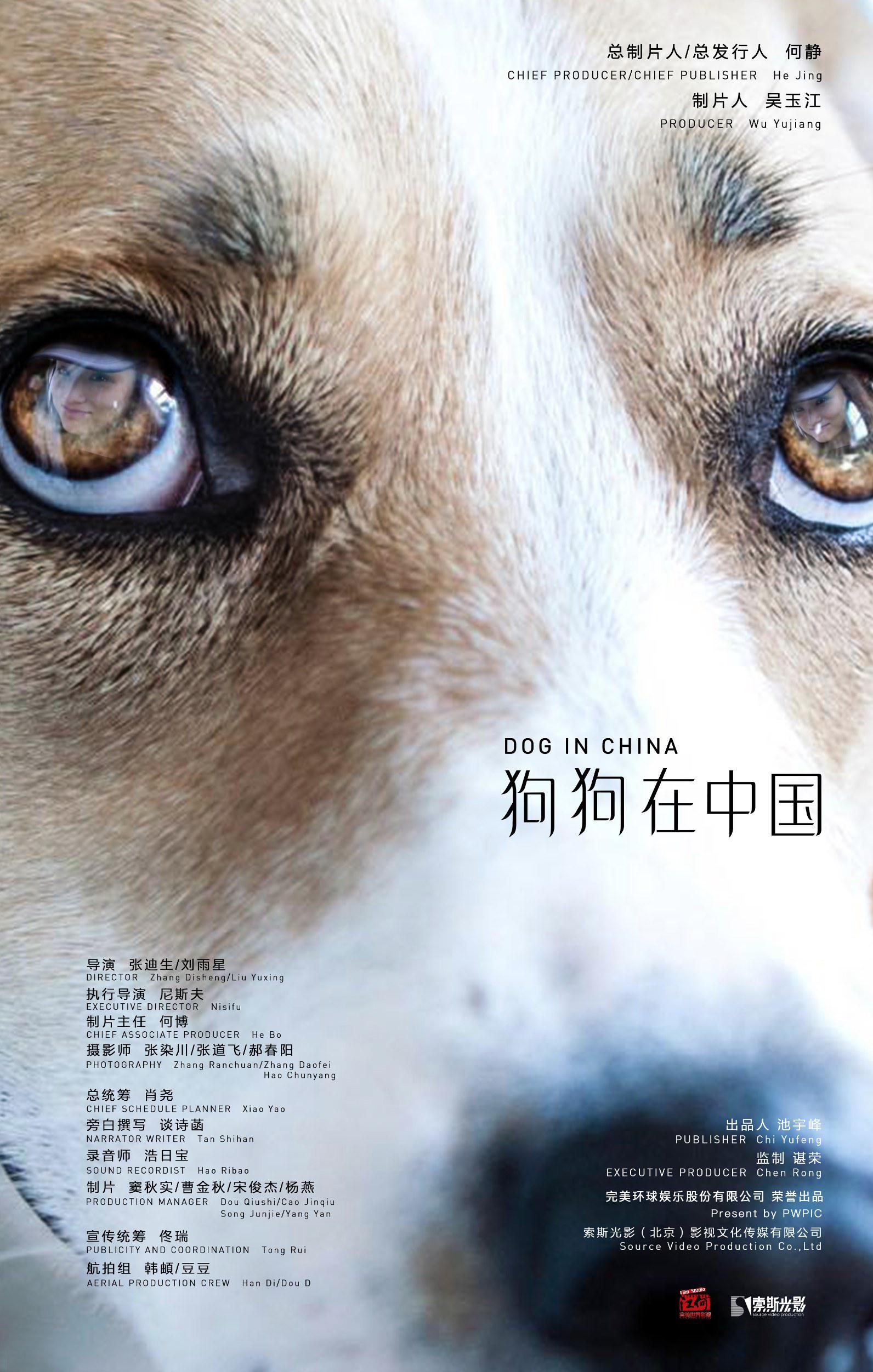 й dogs in china (2016)