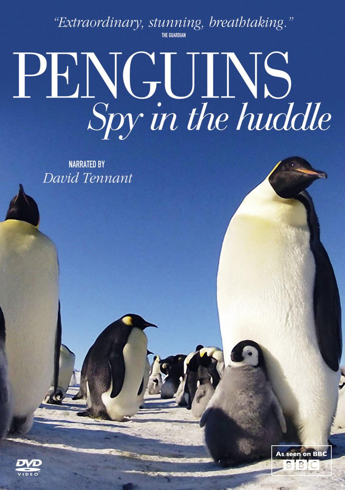 Ⱥ Penguins: Spy in the Huddle (2012)