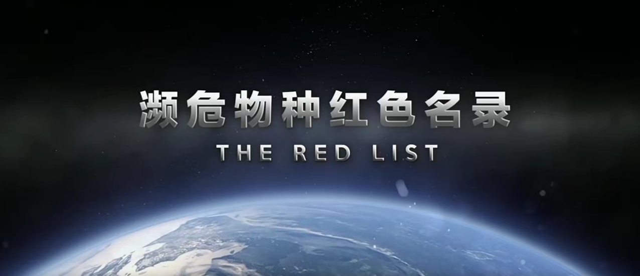 Σֺɫ¼ The Red List (2020)