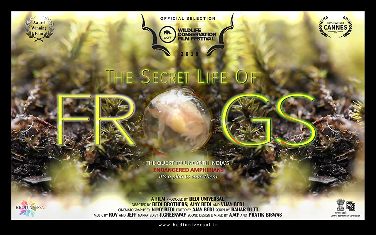 ܵ The Secret Life of Frogs (2019)
