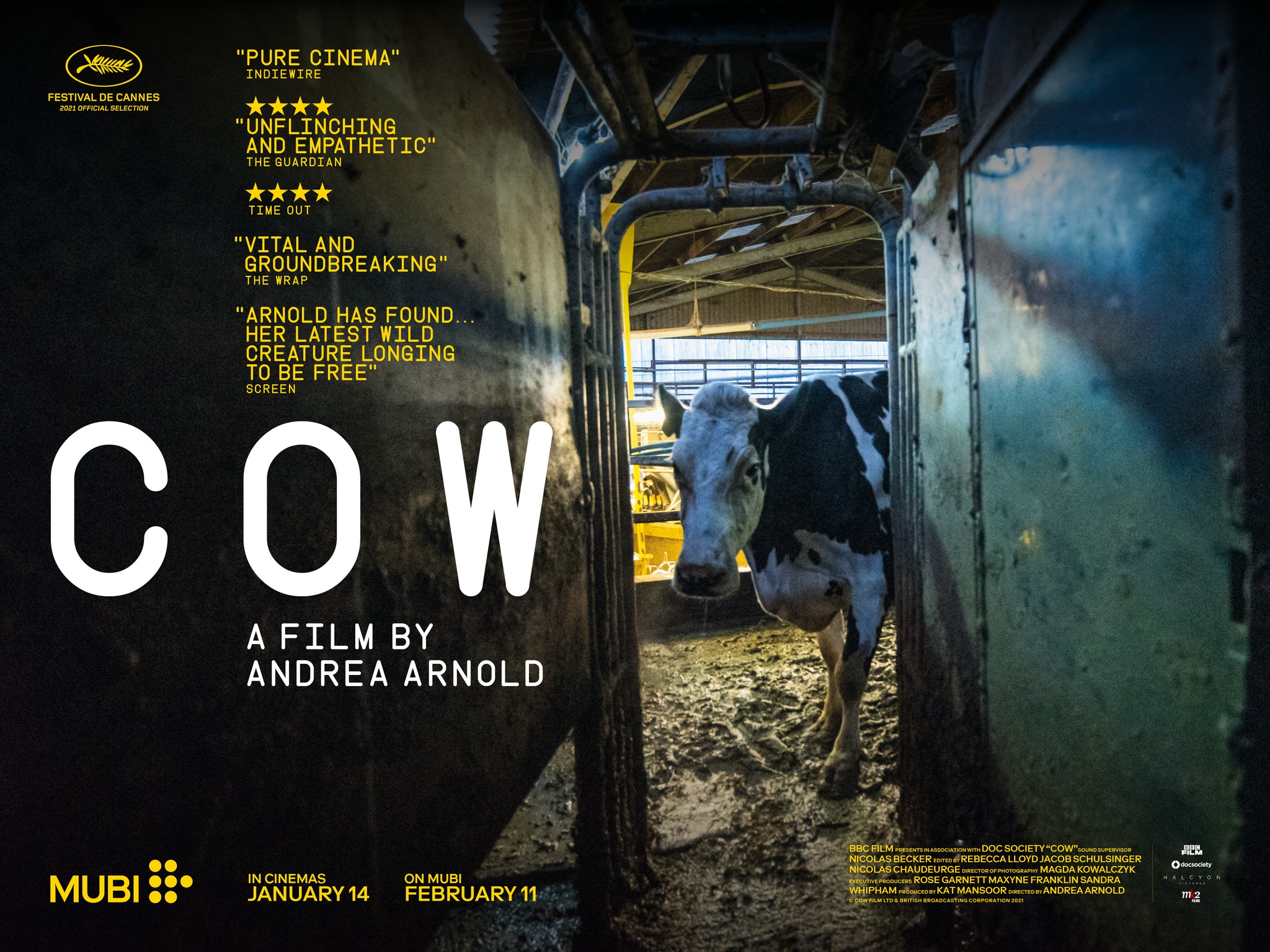 ţ Cow (2021)