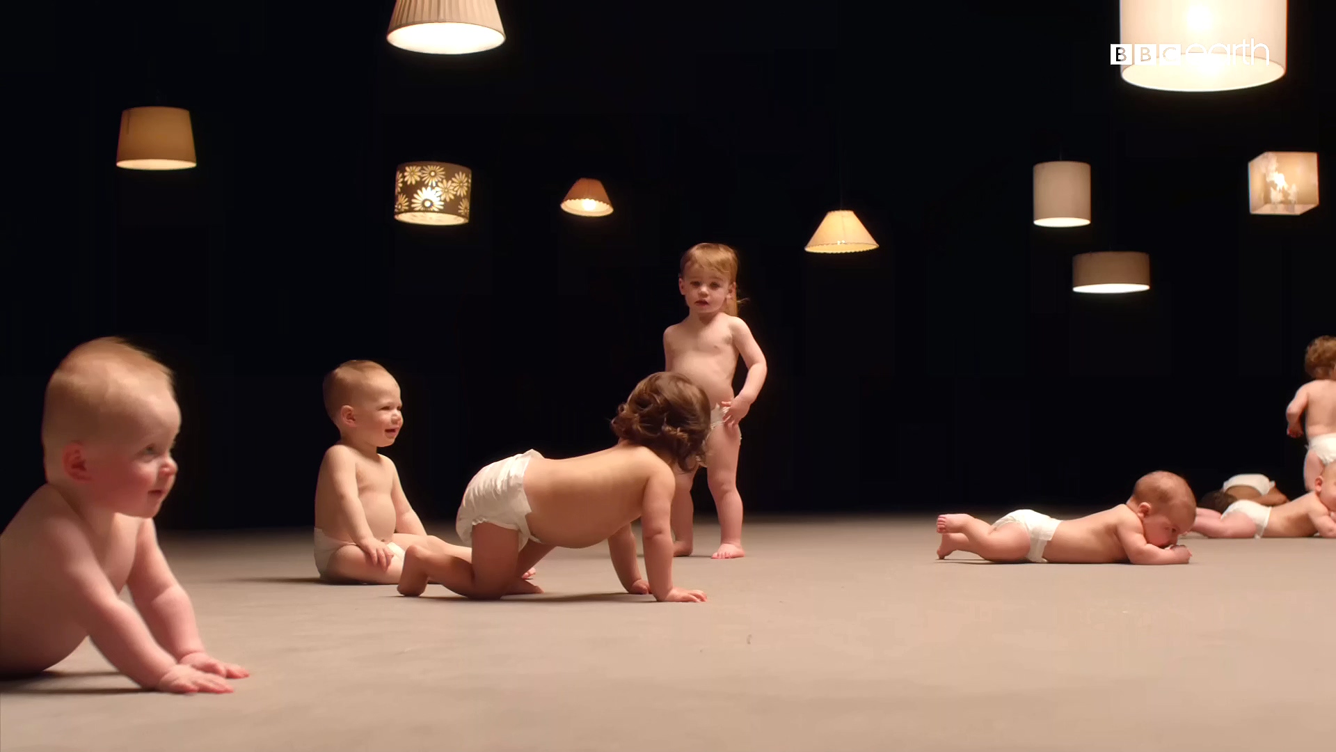 Ӥ Secret Life of Babies (2014)