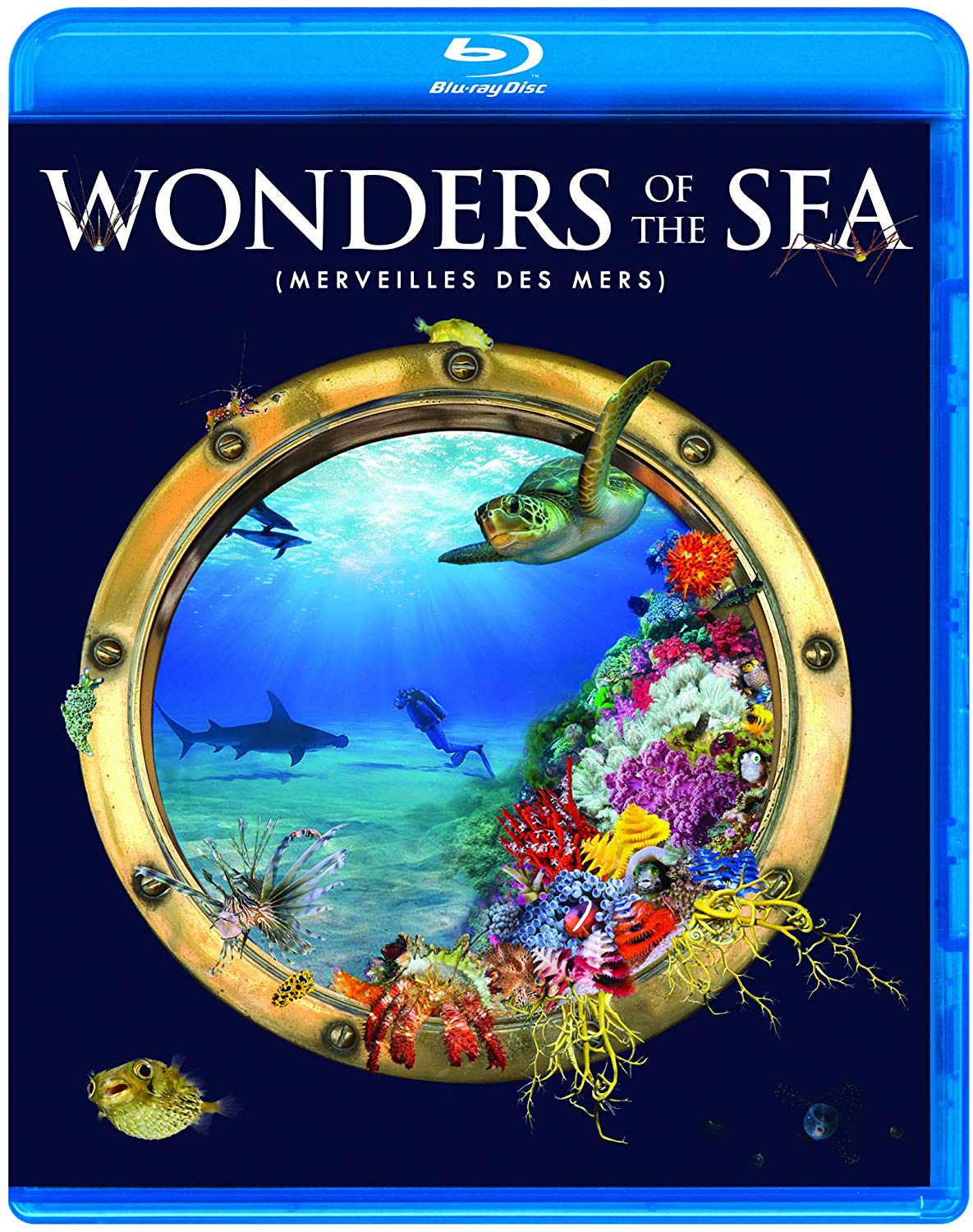 ĺ Wonders of the Sea 3D (2017)