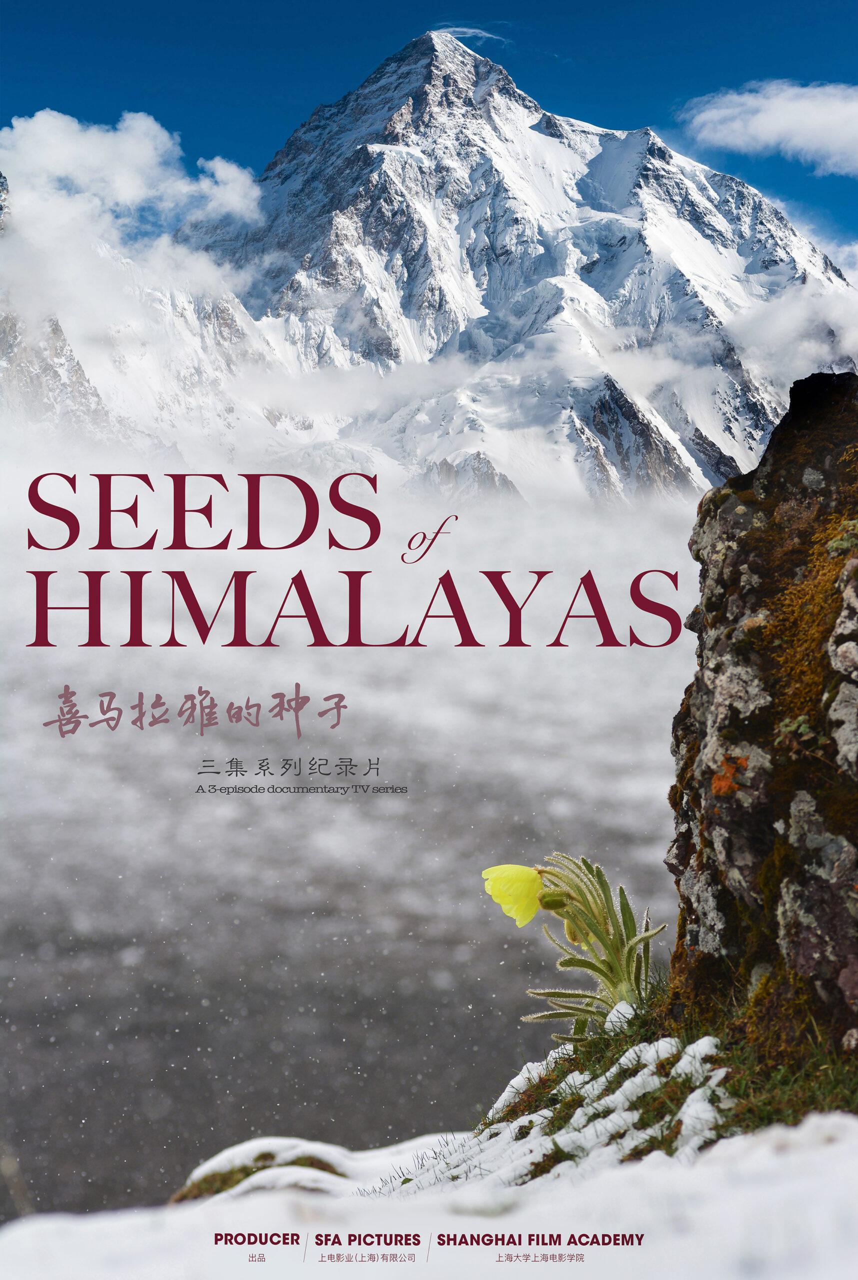 ϲŵ Seeds of Himalayas (2020)