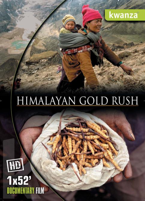 ϲŴԽ 1080i Hymalayan Gold Rush (2012)