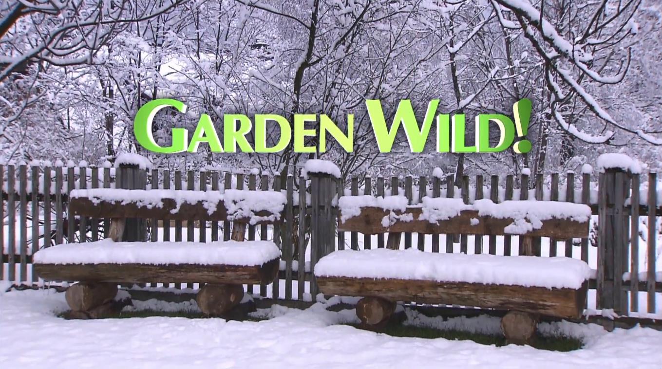 ҰԻ԰ Garden Wild (2015)