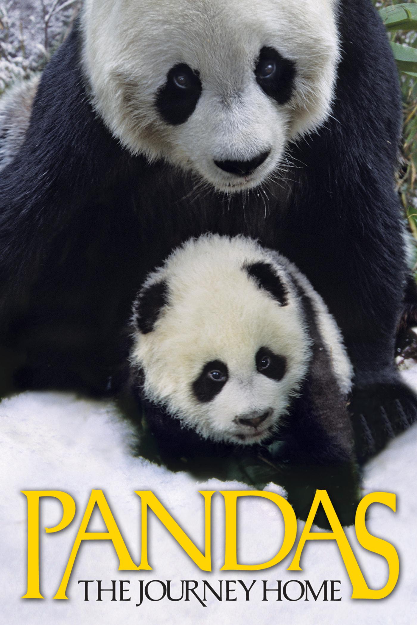 è Pandas: The Journey Home (2014)