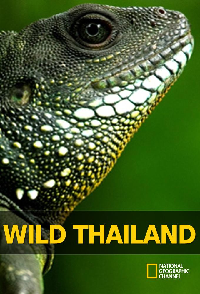 Ұ̩ Wild Thailand (2013)