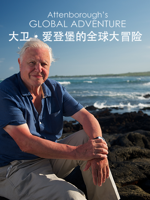 Ǳȫ̽ David Attenborough's Global Adventures (2021)