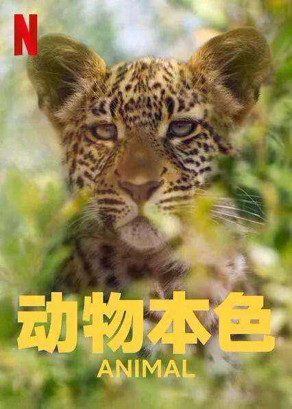 ﱾɫ ڶ Animal Season 2 (2022)